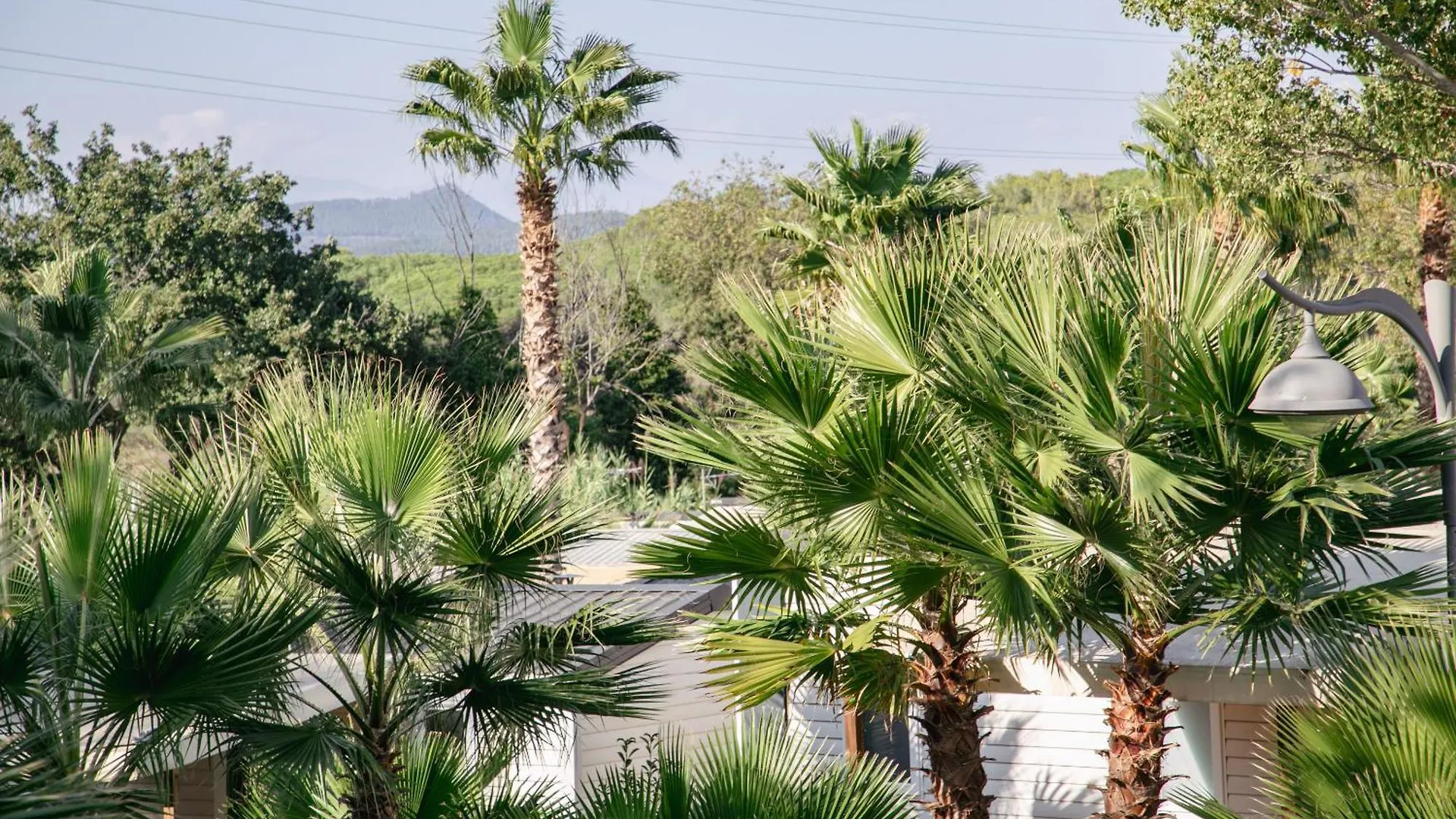 *** Campsite Camping Site De Gorge Vent Frejus France